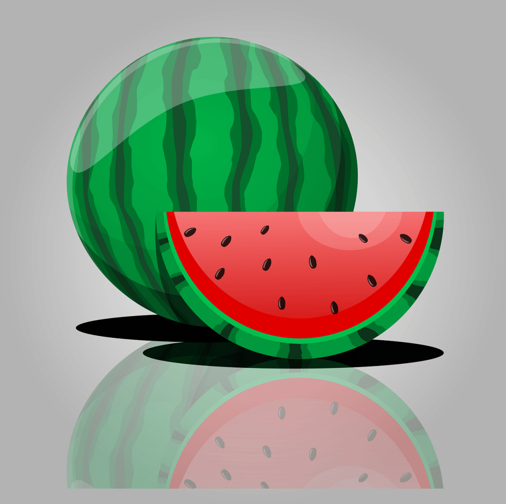 is-watermelon-good-for-constipation-health-learner