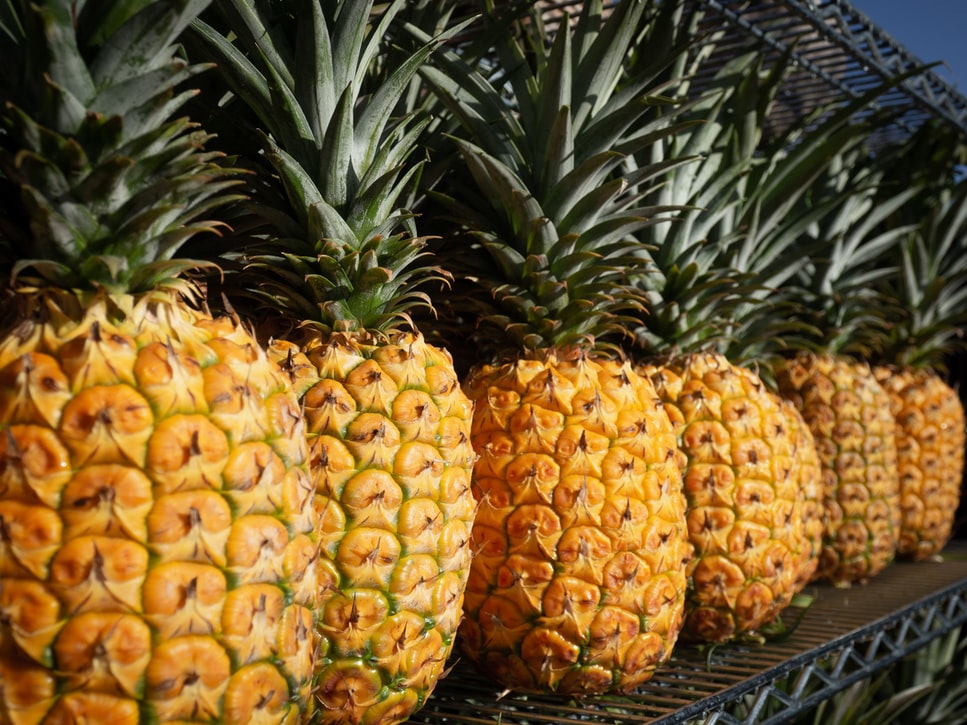 Is Pineapple Good for Acid Reflux? The Power of Bromelain Health Learner